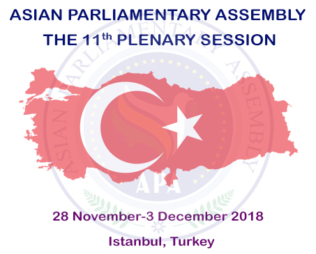 THE 11th PLENARY SESSION